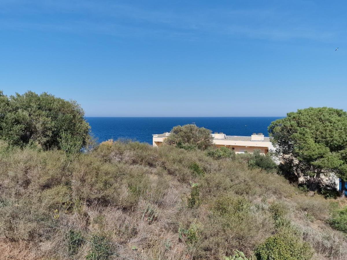 Appartement Avec Terrasse, Wifi, Parking Prive, A 2Min De La Plage Des Elmes - Banyuls-Sur-Mer - Fr-1-309-130 Banyuls-sur-Mer Exterior foto